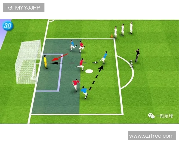 足球球星训练秘诀揭秘提升技术与体能的科学方法与实践技巧